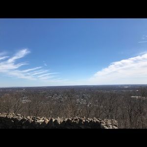 Meet your Posher, Theodore